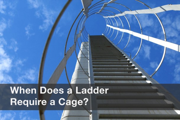 ladder cage